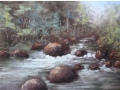 Un torrent en forêt, 2013 - Paysages