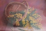 Panier de mimosas - Bouquets