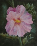 Rose trémière - Bouquets
