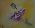 Fleur effeuillée, 2014 - Fleurs