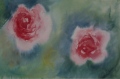 Roses, 2013 - Fleurs