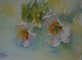 Fleurs, 2014 - Fleurs