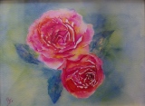 Roses. Duo - Fleurs