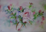 Rose et boutons - Fleurs